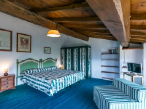 Podere Cima a Zano / Apt.Fienile Pca107