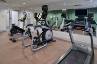 Holiday Inn Express & Suites ROYSE CITY - ROCKWALL by IHG - Træningscentre