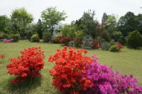 Yesan Grand Motel