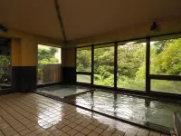 Tatsuta Ryokan Hotels near Joren Waterfall