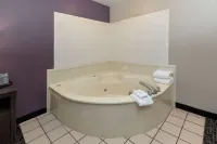 La Quinta Inn & Suites by Wyndham Rockwall - Hot Tub