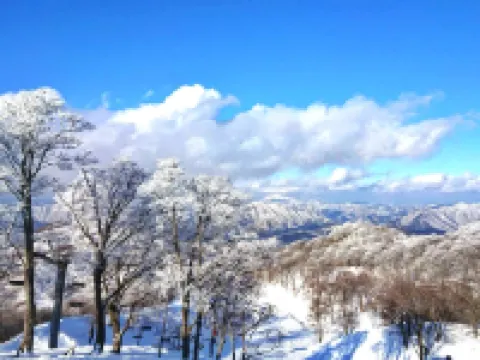 グリーンパーク山東 米原のホテル