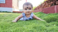 Royal Stone Resort Hotels in Bhilar