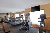Holiday Inn Express BENGALURU BOMMASANDRA by IHG - Gym