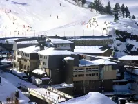 Hotel Llop Gris