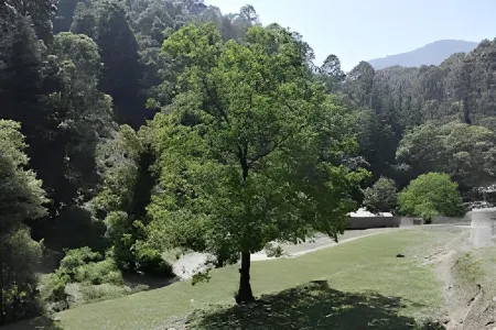 Bhawani Guest House Отели рядом с достопримечательностью «Shree Kainchi Hanuman Mandir»