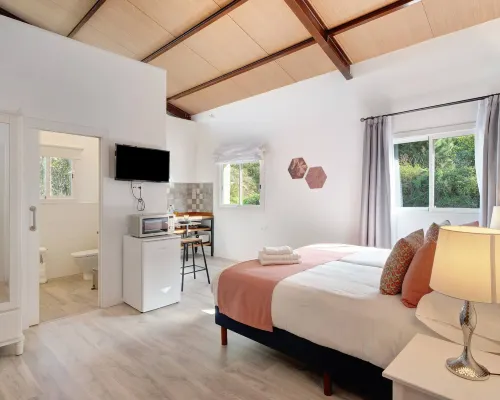 Apartamento confort Casa Lomo El Aire Aceviño con piscina exterior Hoteles en Tegueste