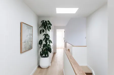 Rubus Pink, Berry - by Linnaeus Collection