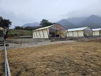 Jangheung Taengdaengi Glamping Hotels in Jangheung-gun