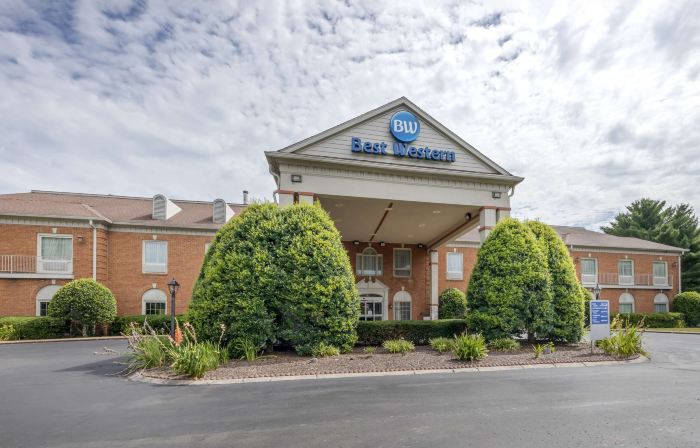 Best Western Spring Hill Inn  Suites