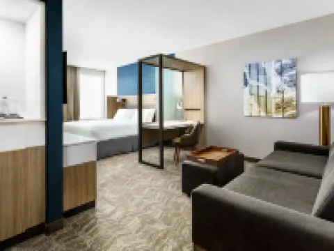 SpringHill Suites Belmont Redwood Shores Hotels in Belmont