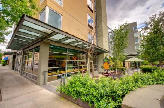 Staypineapple, Watertown Hotel, University District Seattle