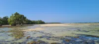 Wagawimbi Villa 560 m2, Breathtaking View of the Indian Ocean, Kenya - Villas
