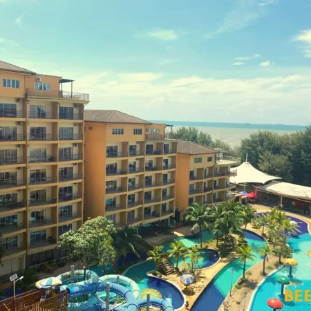 Gold Coast Morib