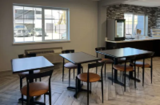 이코노 로지 트레이시