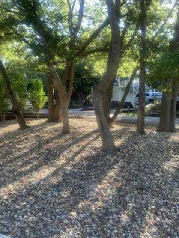 Hillside Lakeview Fun!