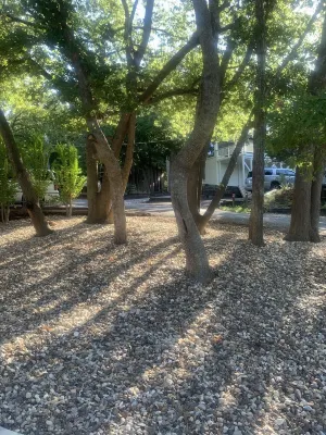 Hillside Lakeview Fun!