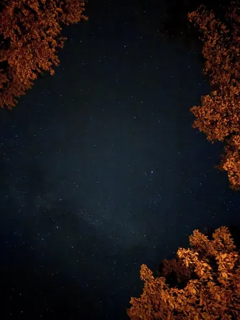 Nice log cabin on back country road with peace, quiet and the amenities of home