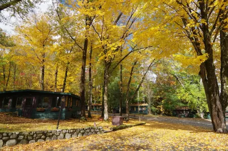 The Owl of Lake George 2 BR deck lake views fireplace