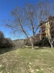 Cozy condo with amazing view of the Little Pigeon River in scenic Sevierville!