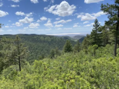 Charming& Cozy Cabin walking distance to downtown and trails