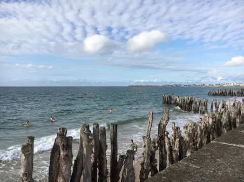 Cosy n'est T2 downtown market LA ROCHELLE