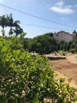 Private, vintage 2bd/2ba, 1/3 acre lot, ocean views, amazing sunsets!