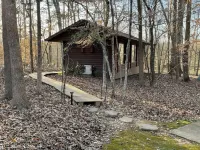 Cabin amongst the trees