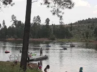 The cozy cabin, a quiet place to relax and have a pleasant time. Hotels in Heber