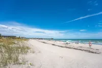 ⛱️ Beach front condo 🚀