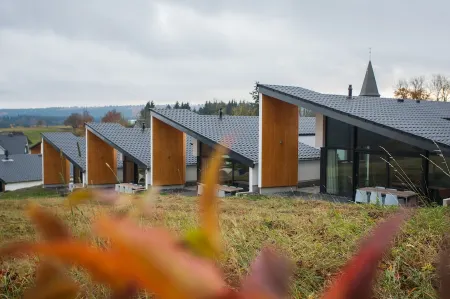 Design Villa Winterberg: Luxury vacation home directly on the slopes/meadow