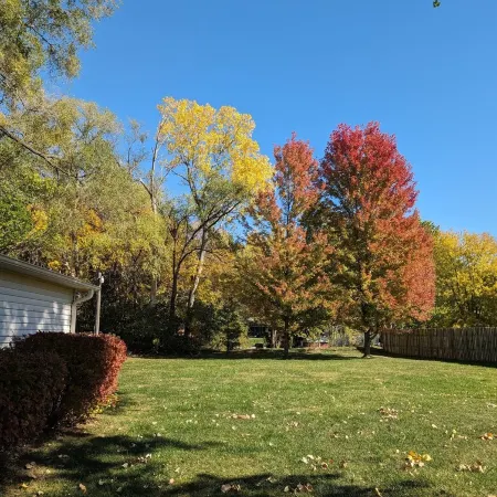 Cheerful two bedroom home in quiet neighborhood. Sun Porch ~ Patio ~  Large yard