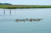 Sea Star-Views of the Lighthouse!
