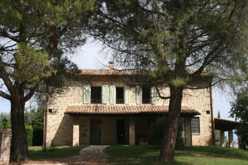 Splendid private villa for 12 people with swimming pool and olive trees