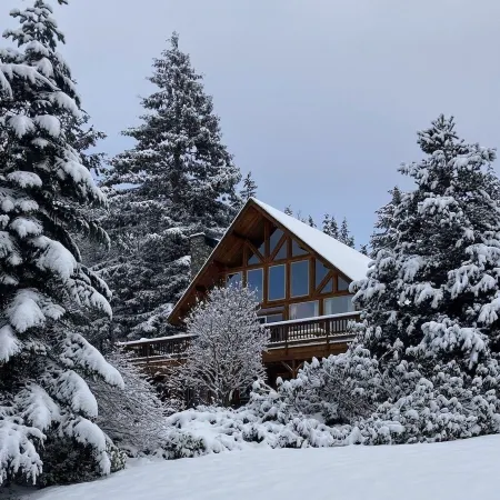 Large Log Cabin-Ocean View/Beach/BBQ/Games/EV/Pets