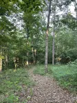 Cabin with Pond on 6 Private Acres --1.5 miles from Montauk Park, Near Salem