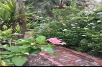 Oystertown Cottage Hotels near Apalachicola Margaret Key Public Library