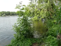 Cottage apartment in Caputh-Schwielowsee with Havel view