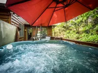 Lookout Point Cabin-Long Range Mt View-PAVED ROADS-Hot tub-Fire Pit-Dog friendly