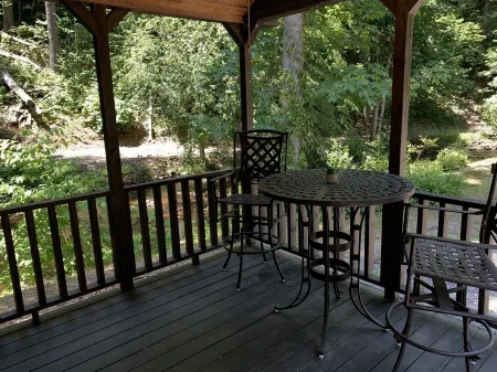 Tiny home only 1 mile from Vogel State Park! The Gray Loft Reece Farm Village Отели в г. Юнион