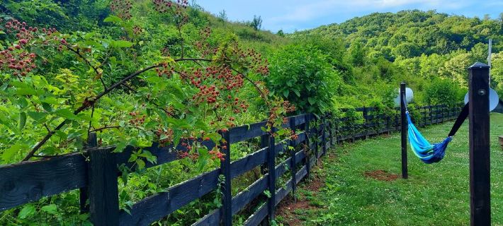 朗普爾斯山居高地隱居地木屋 - 街機遊戲廳 - 私人汽車影院 格雷森縣住宿飯店
