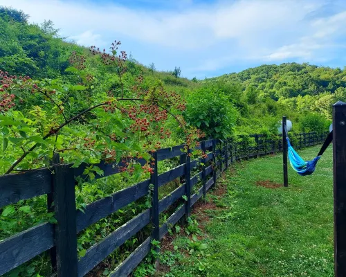Rumples Retreat at Highland Hideaways - Arcade - Private Drive-in Theater Hotels in Wilson Creek