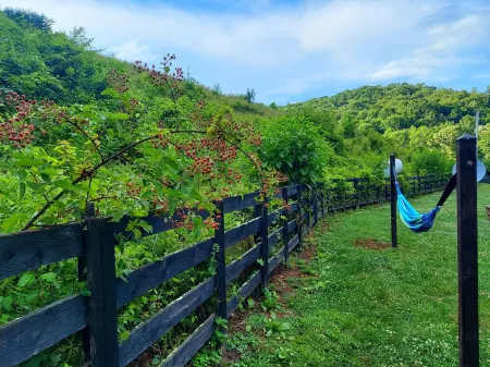 Rumples Retreat at Highland Hideaways - Arcade - Private Drive-in Theater Отели в г. Уилсон Крик