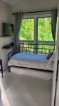 Cozy cool cabin in the mountains with a view Close to Downtown with a hot tub