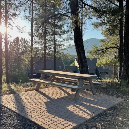 Tranquil Retreat In the Pines w/Mountain Views! Updated 1 Bed 1 Bath