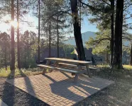 Tranquil Retreat In the Pines w/Mountain Views! Updated 1 Bed 1 Bath