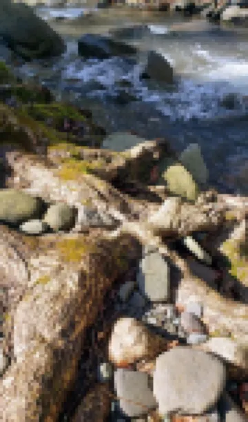 Stream Come True! Ski, hike, spa, flow, relax...