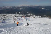 bright, modern equipped Holiday Apartment with many amenities