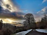 Cottage retreat in wooded secluded private grounds