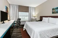 Hilton Garden Inn San Marcos Hotels in San Marcos